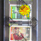 1988 Topps Football Unopened Rack Pack (Joe Montana Top) (BBCE) (27377)