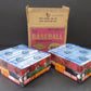 1978 Topps Baseball Wax Tray Case (2 Box) (BBCE) (B)