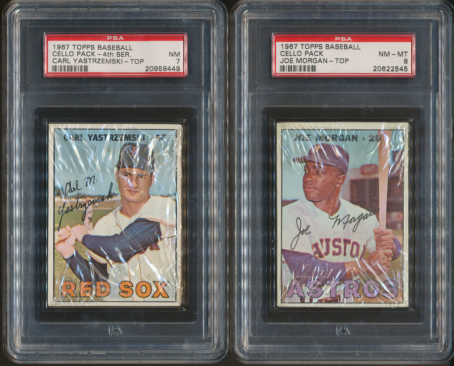 1967 Topps Baseball Cello Box PSA Graded Stars on Top