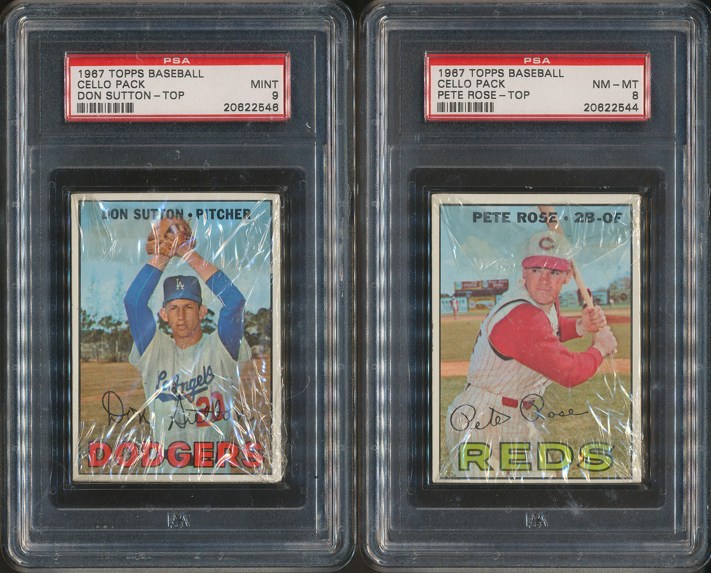 1967 Topps Baseball Cello Box PSA Graded Stars on Top